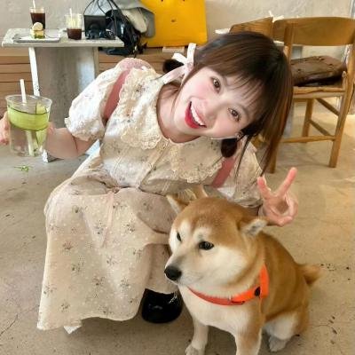 正义小包公